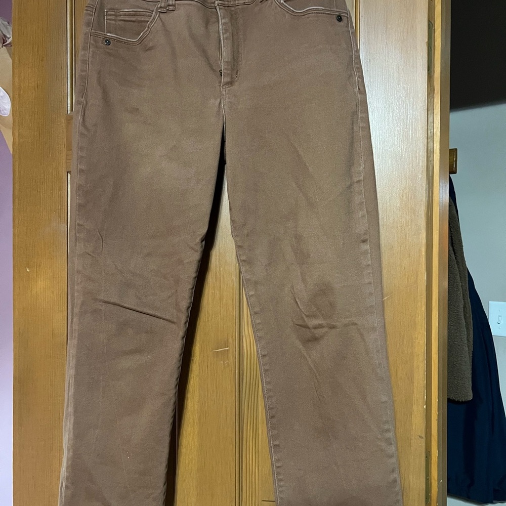 DEMOCRACY “AB” technology Brown Straight-Leg Pants